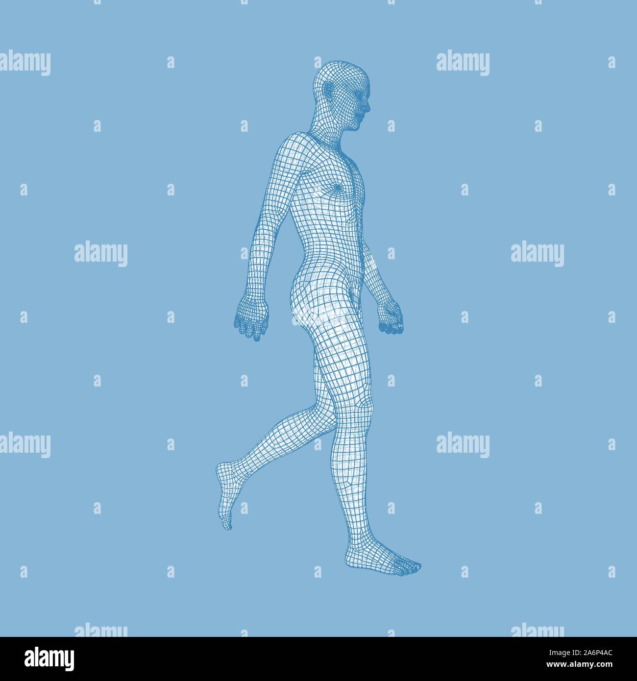 Walking Man. 3D Human Body Model. Geometric Design. Human Body Wire