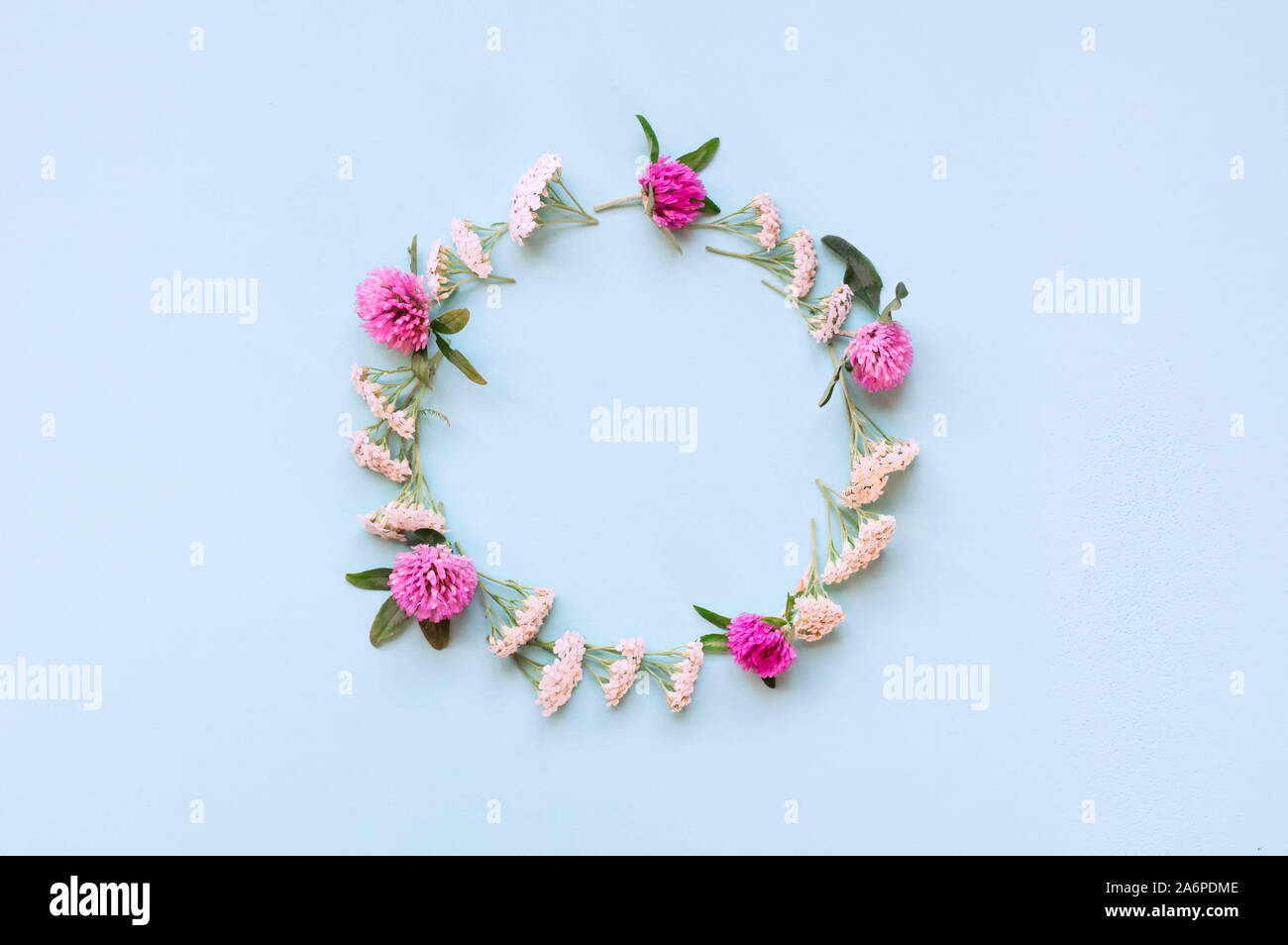 Flower composition. Round frame of wildflowers on a light blue background. Flat lay. Copy space Mock up template for greeting card, text lettering or Stock Photo