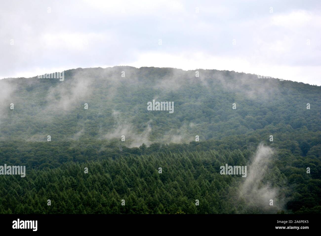 one foggy day in the mountains Stock Photo