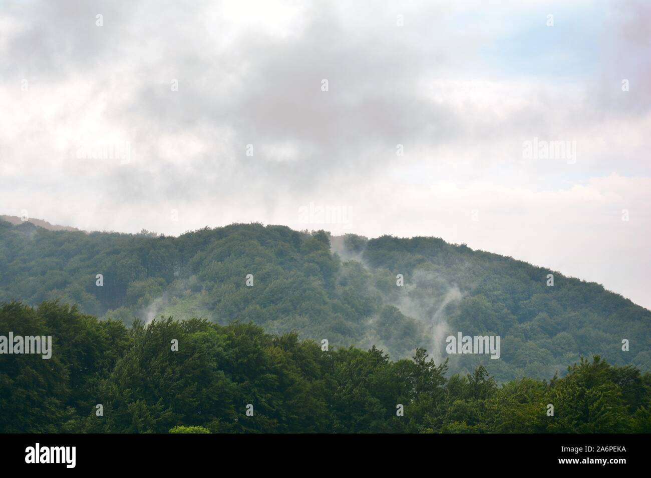 one foggy day in the mountains Stock Photo