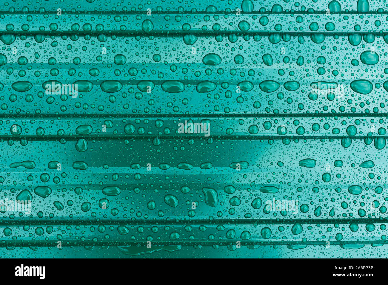 The surface of the metal profiled roofing green with water drops Stock Photo