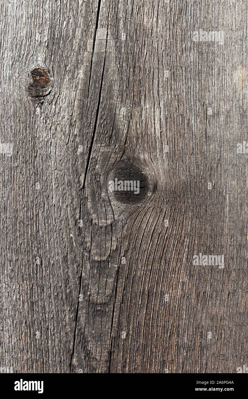 Surface of an old round board with a knot Stock Photo