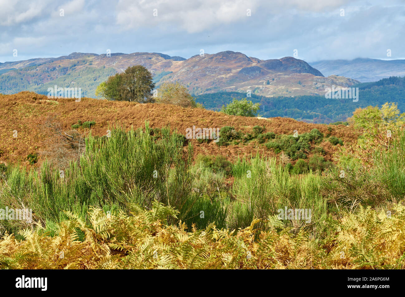 A view from Auchingarrich Wildlife Centre north showing beautiful colours of autumn in Scotland, Perthshire Stock Photo