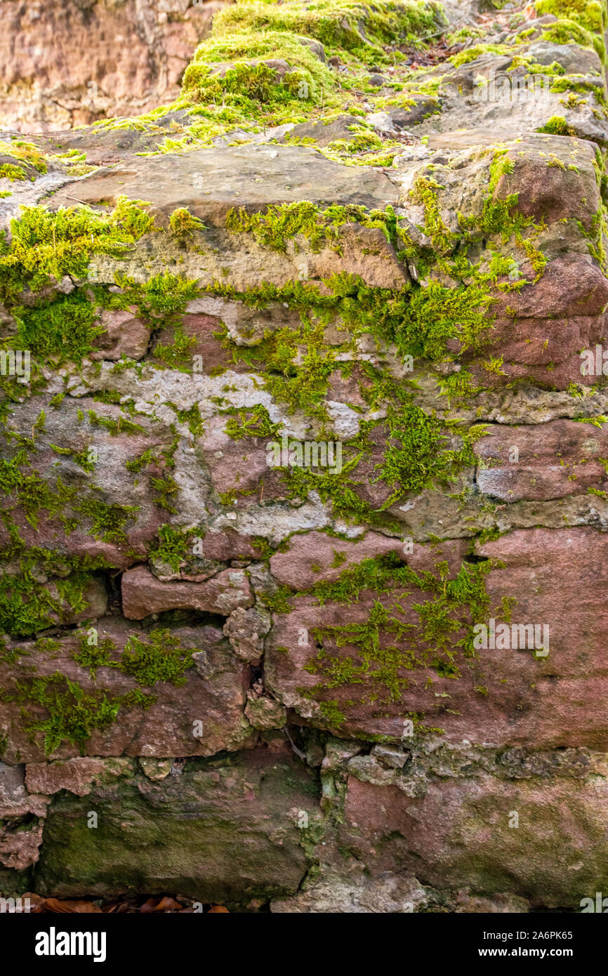 Alte Sandsteinmauer mit Moos Stock Photo