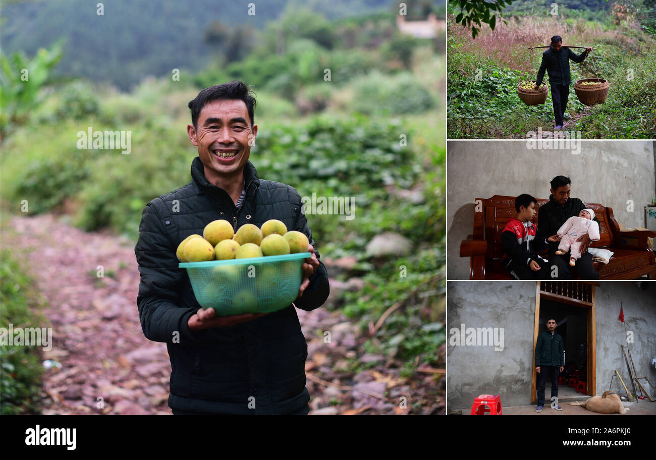 (191028) -- LUZHAI, Oct. 28, 2019 (Xinhua) -- Combo photo shows 47-year-old Wang Qiang holding momordica grosvenori swingle, a kind of herbal plants he just picked (main image in the layout), and his daily life (smaller images in the right-side column) in Guanjiang Village of Luzhai County, southwest China's Guangxi Zhuang Autonomous Region, Oct. 25, 2019. By planting the herbal plants and oranges, he is expected to get out of poverty this year. In recent years, Luzhai County has strengthened its characteristic industries in poverty alleviation efforts. At present 89 percent poverty-stricken h Stock Photo