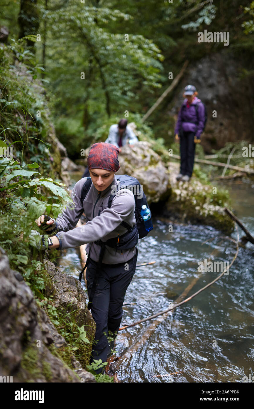 Group of people hiking on a trail in the mountain forest Stock Photo ...