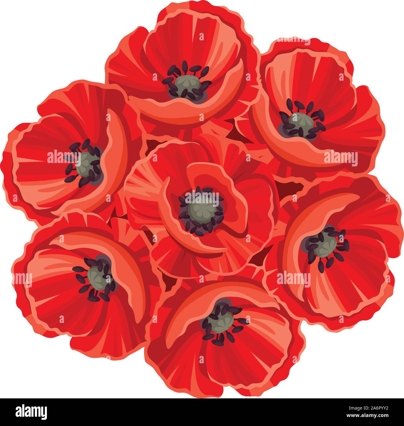 Vector Bouquet Of Red Poppy Flowers Isolated On A White Background Stock Vector Image Art Alamy Vector Bouquet Of Red Poppy Flowers Isolated On A White Background Stock Vector Image Art Alamy