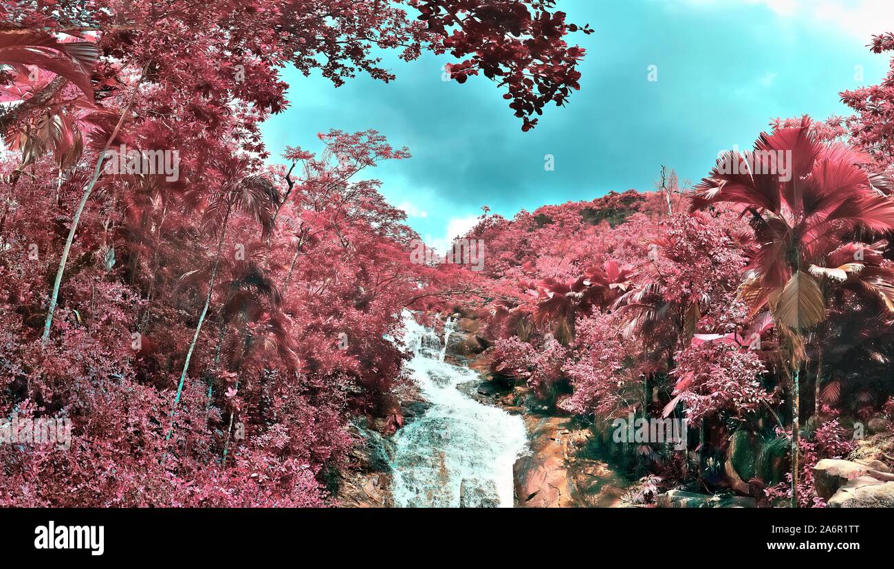Beautiful pink infrared panorama hi-res stock photography and images ...
