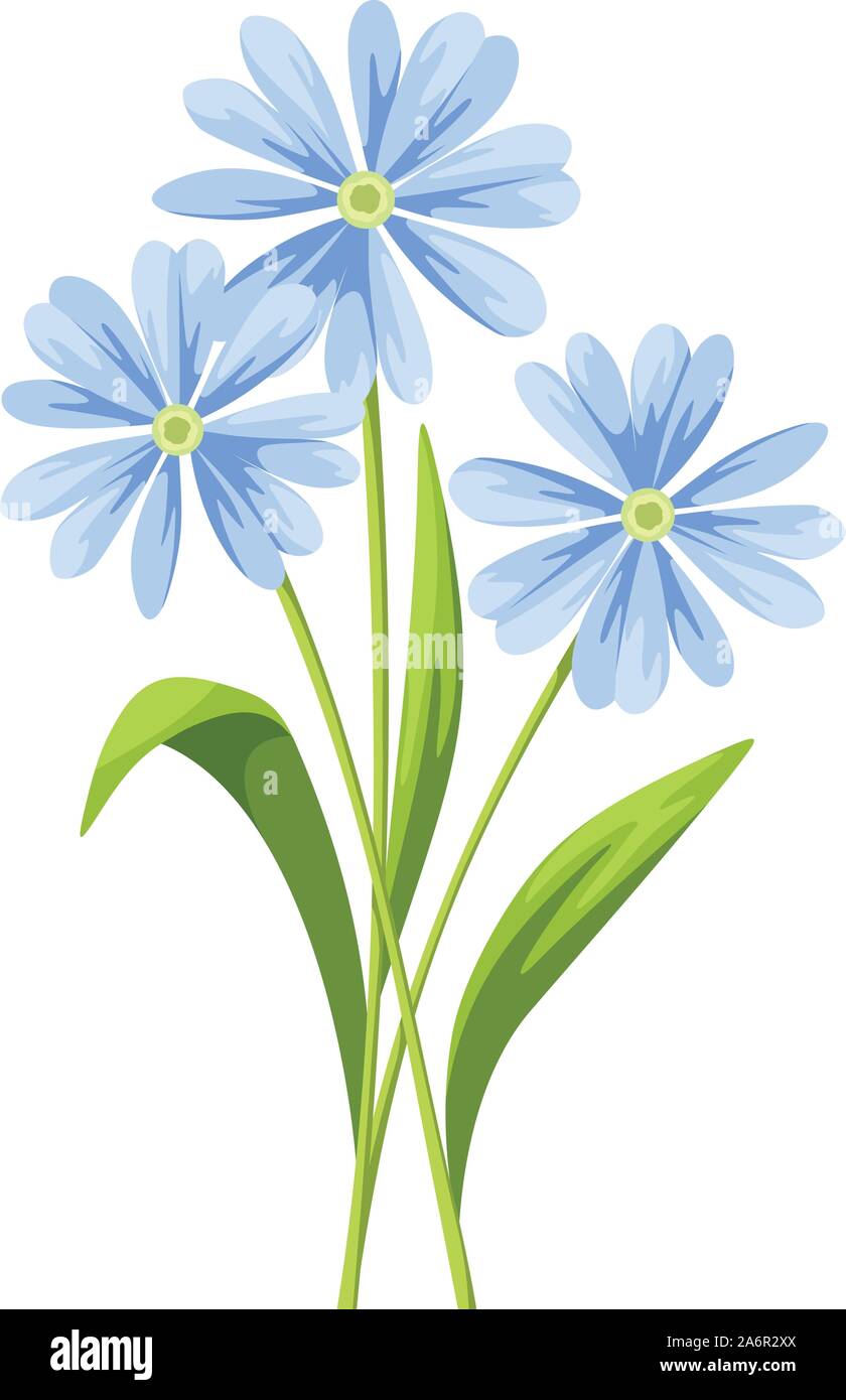 Vector bouquet of blue flowers isolated on a white background Stock ...