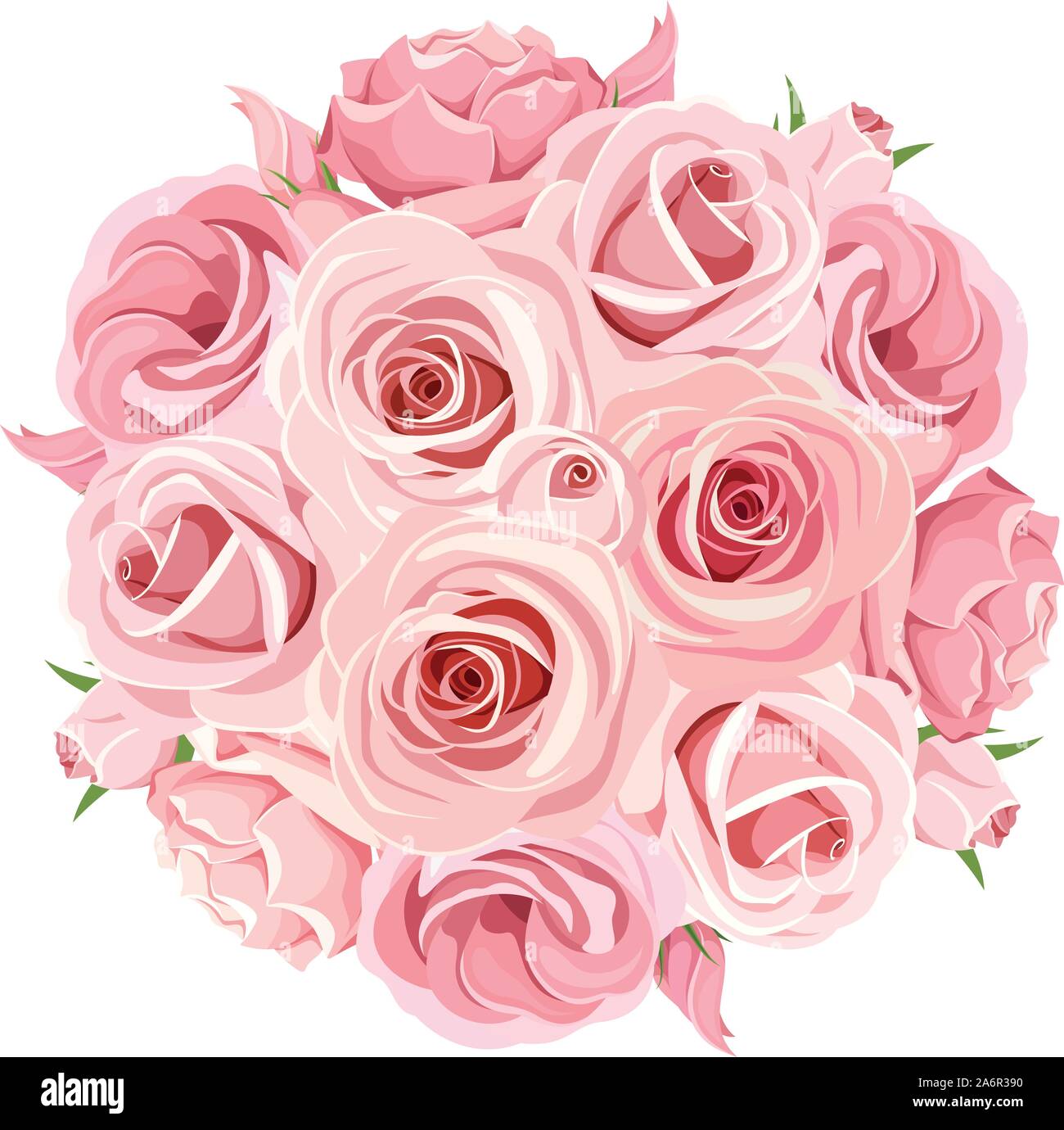 Vector pink roses bouquet isolated on a white background Stock Vector ...