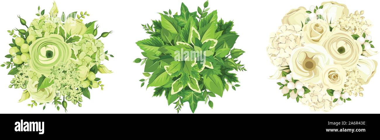 Vector set of three green and white flowers and leaves ball bouquets isolated on a white background. Stock Vector