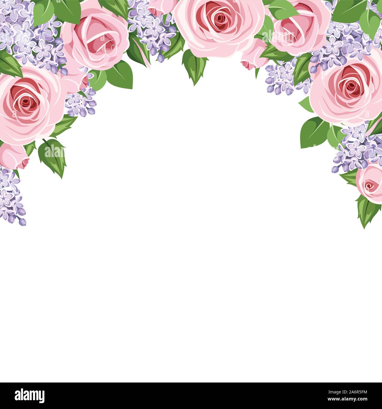 Antecedentes vectoriales con rosas y flores de color lila púrpura sobre un fondo blanco Imagen Vector de stock - Alamy