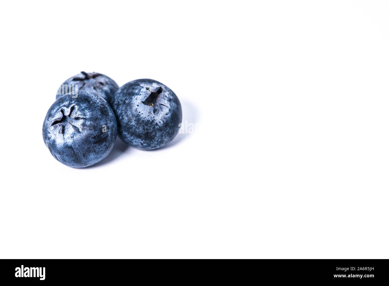 Blueberries on a white background Stock Photo