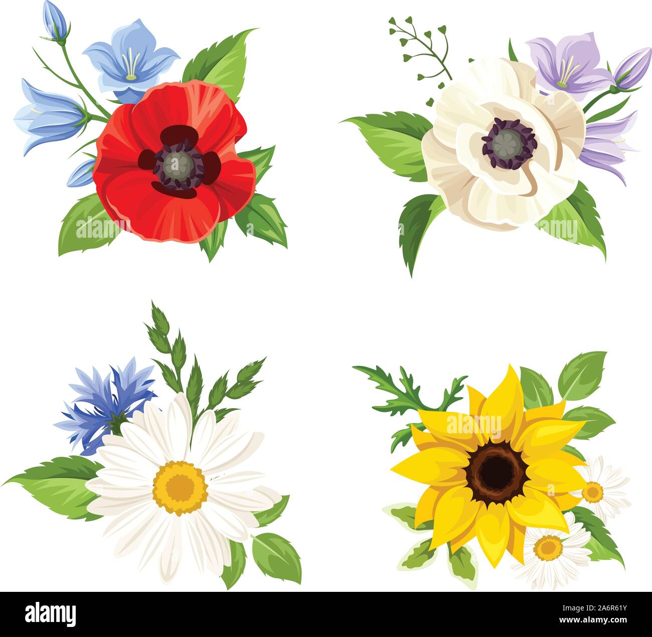Vector set of colorful wild flowers poppy, sunflower, harebell, daisy and cornflowers isolated