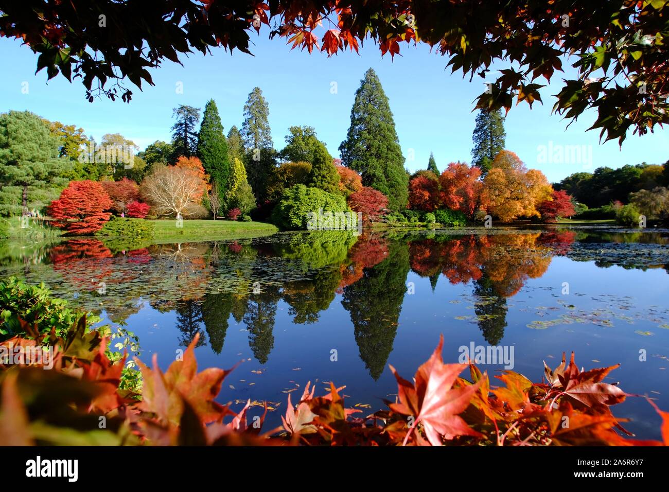 Sheffield Park, East Sussex, UK. 28th October 2019. Reflections of stunning autumn colours in Sheffield Park Gardens on a rare sunny morning © Peter Cripps/Alamy Live News Stock Photo