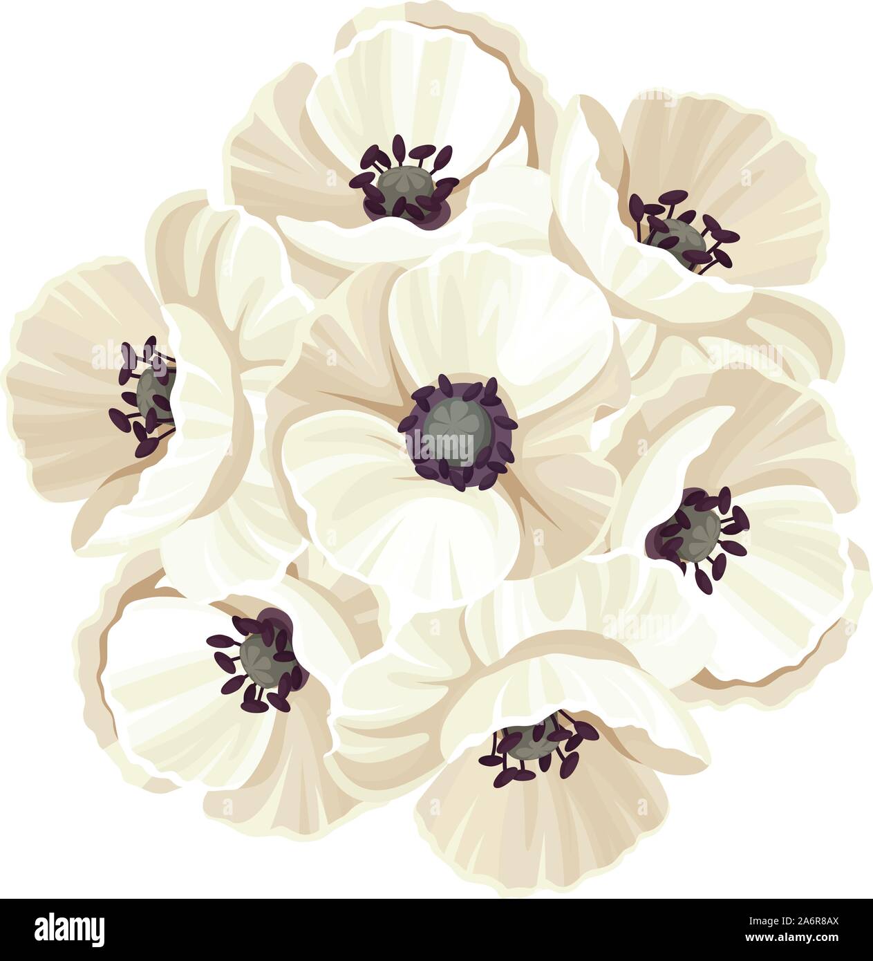 Vector bouquet of seven white poppy flowers isolated on a white ...