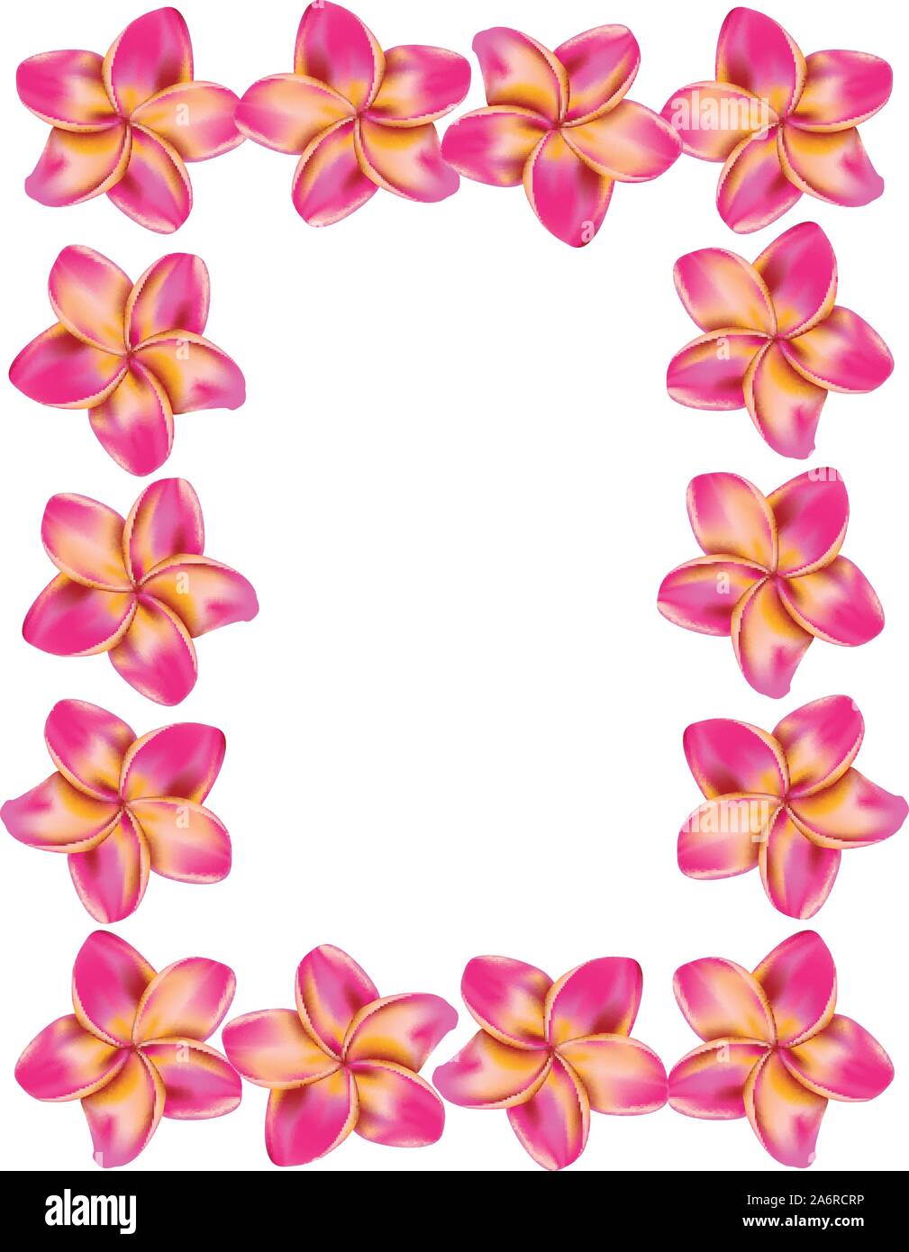 Floral frame made from plumeria, frangipani flowers Stock Vector Image ...