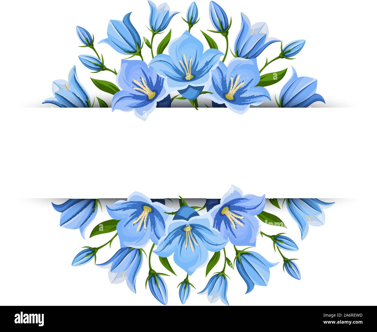 Vector background banner with blue bluebell flowers Stock Vector Image