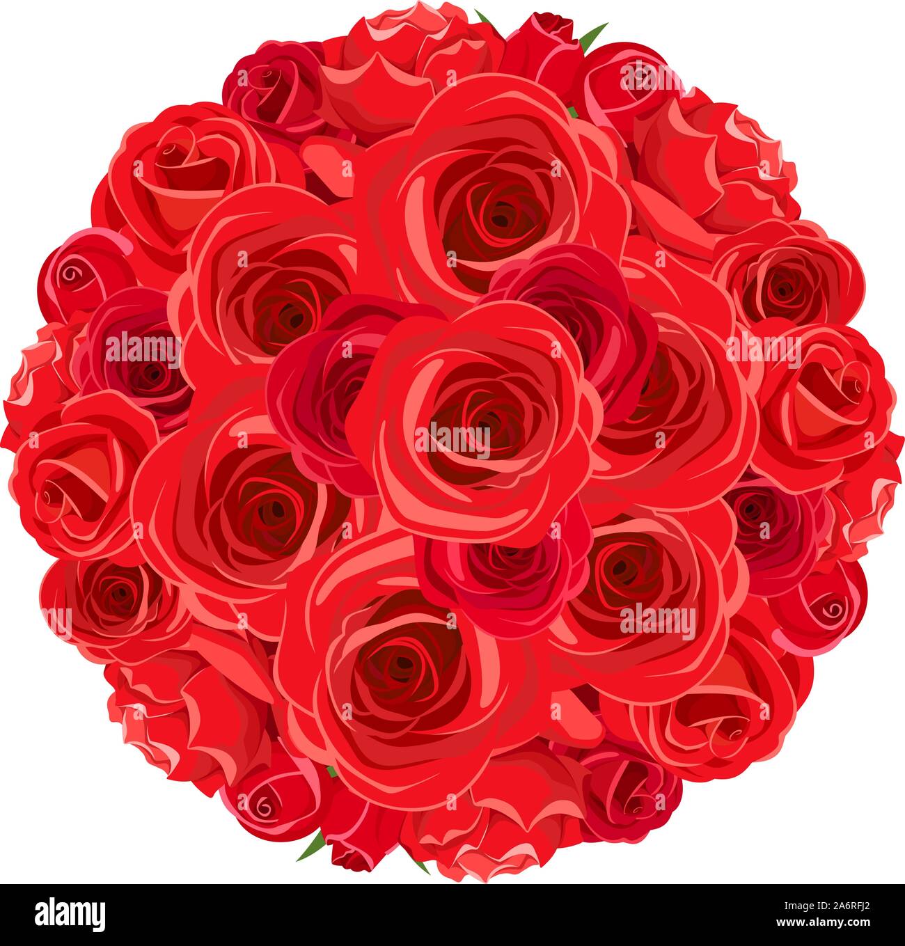 Vector red roses bouquet isolated on a white background Stock Vector ...