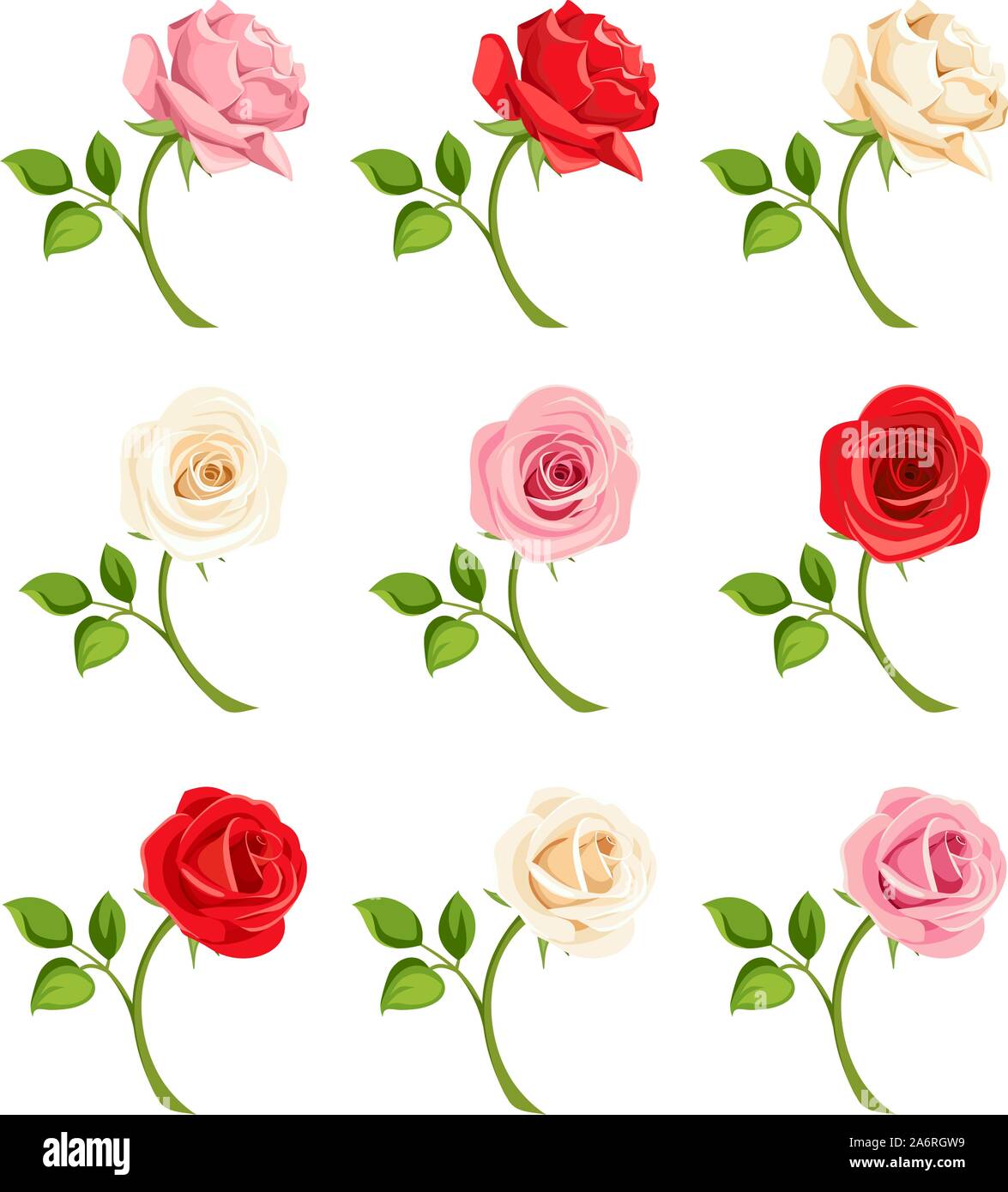 Vector set of red, pink and white roses with stems isolated on white ...