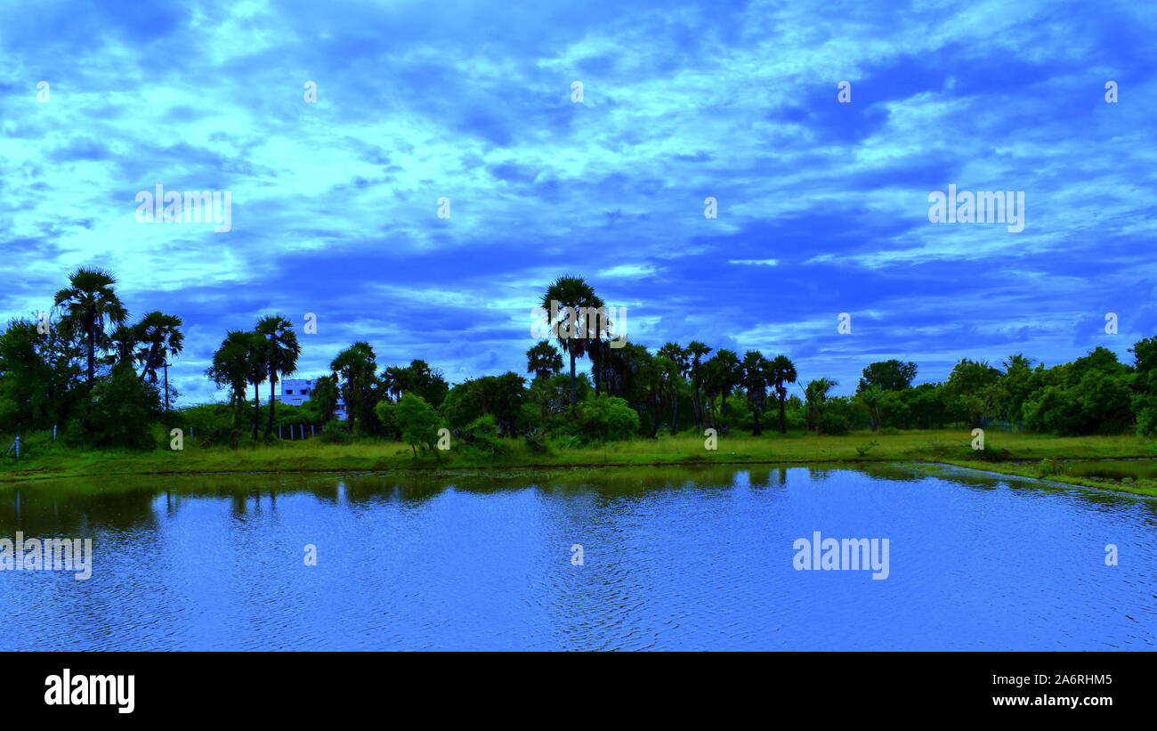 Beautiful Nature In Village It Is Agriculture Land Stock Photo Alamy