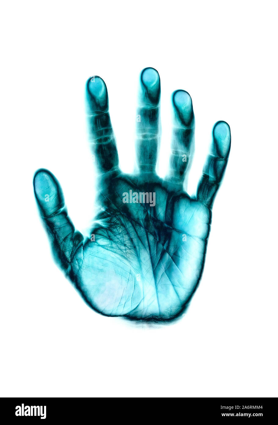 a male hand-print in blue color over white background Stock Photo