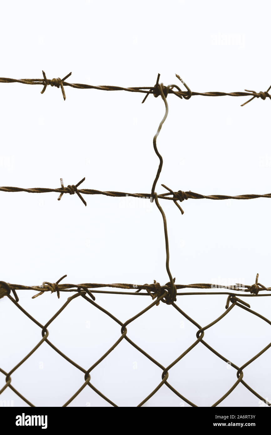 Close-up of barbed wire, isolated on white background Stock Photo - Alamy