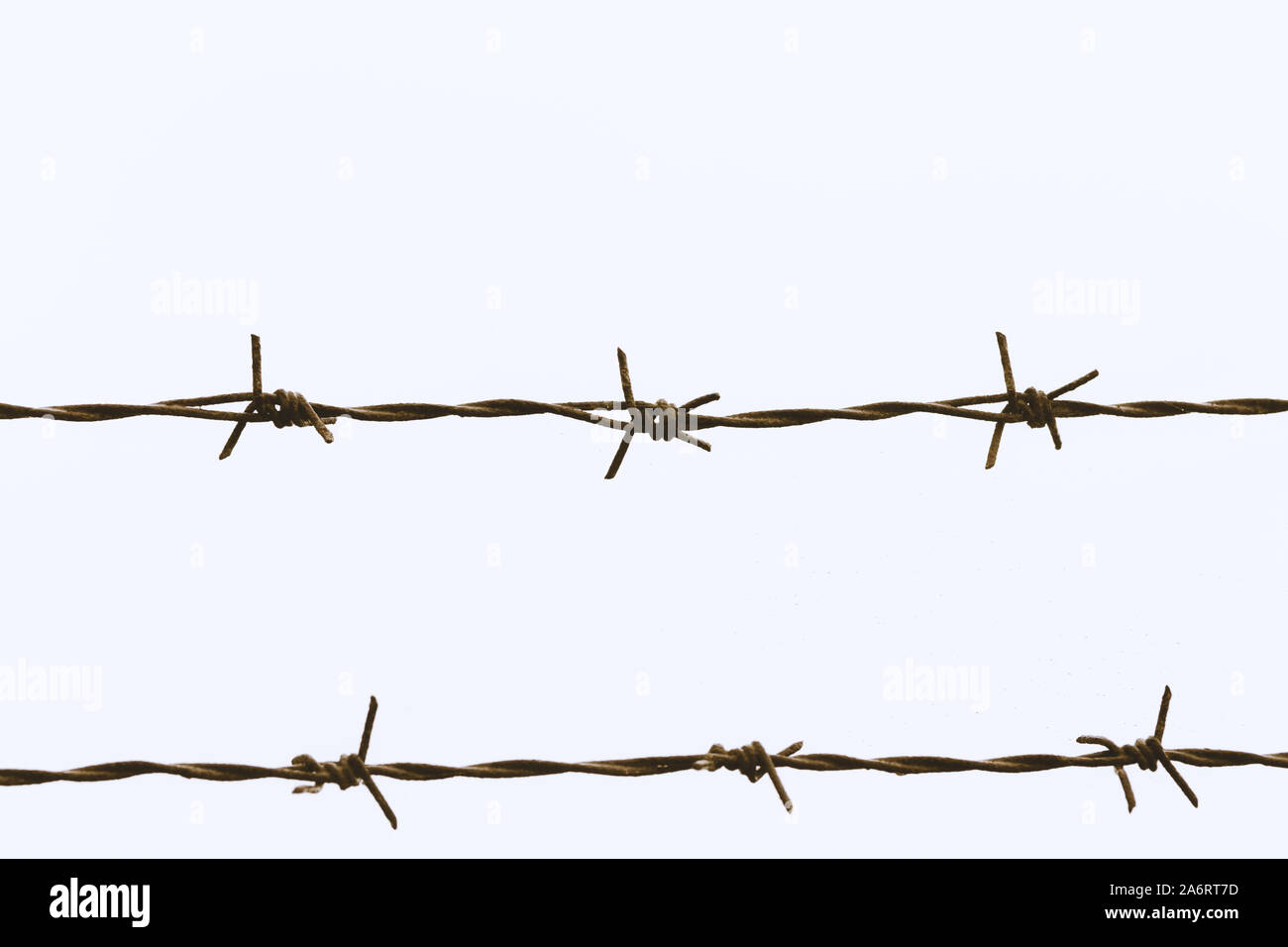Close-up of barbed wire, isolated on white background Stock Photo - Alamy