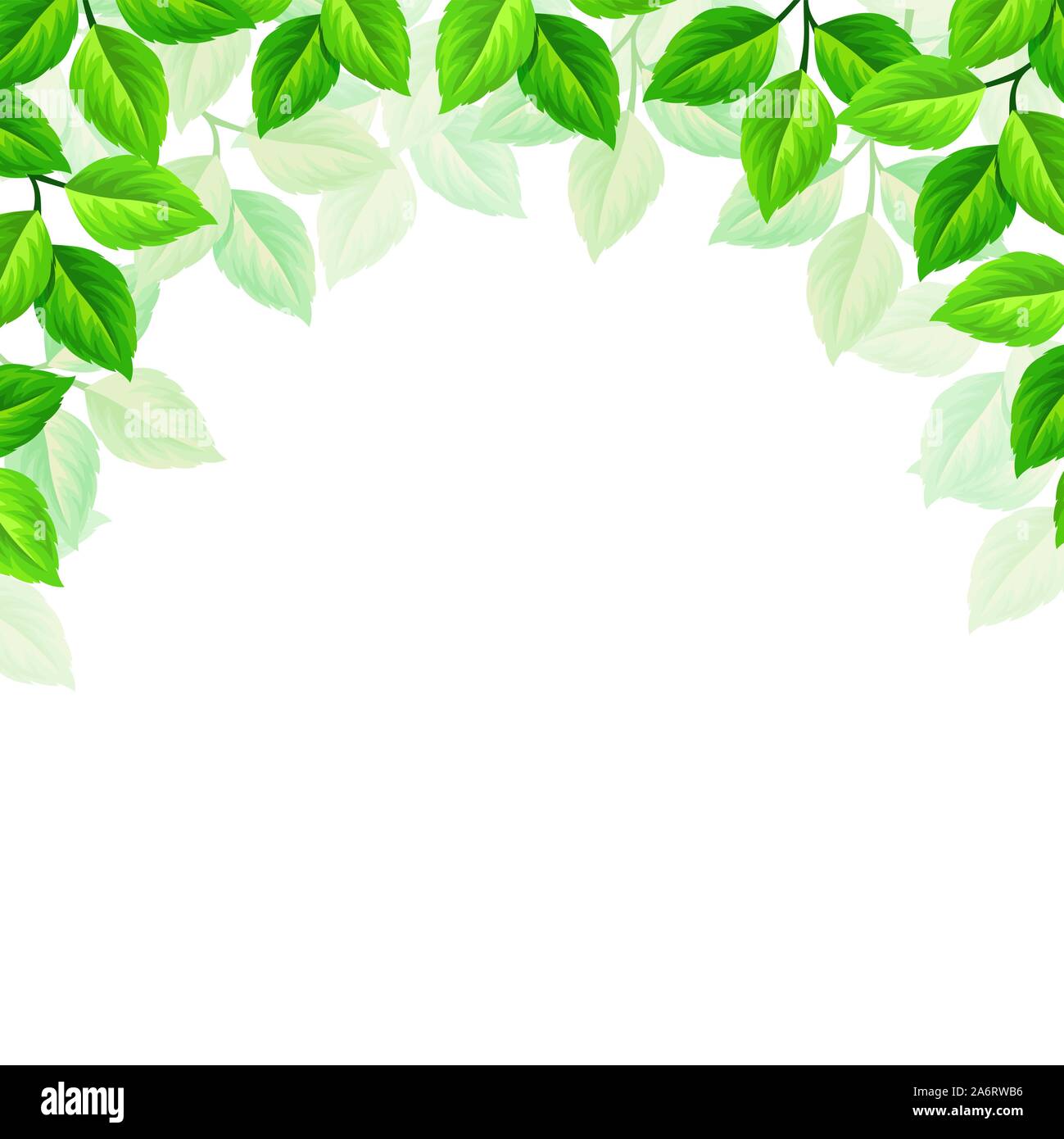Vector background with green leaves on white Stock Vector Image & Art ...