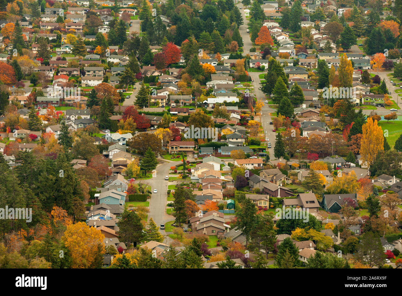 City urban streets with trees in autumn colour-Victoria, British Columbia, Canada. Stock Photo