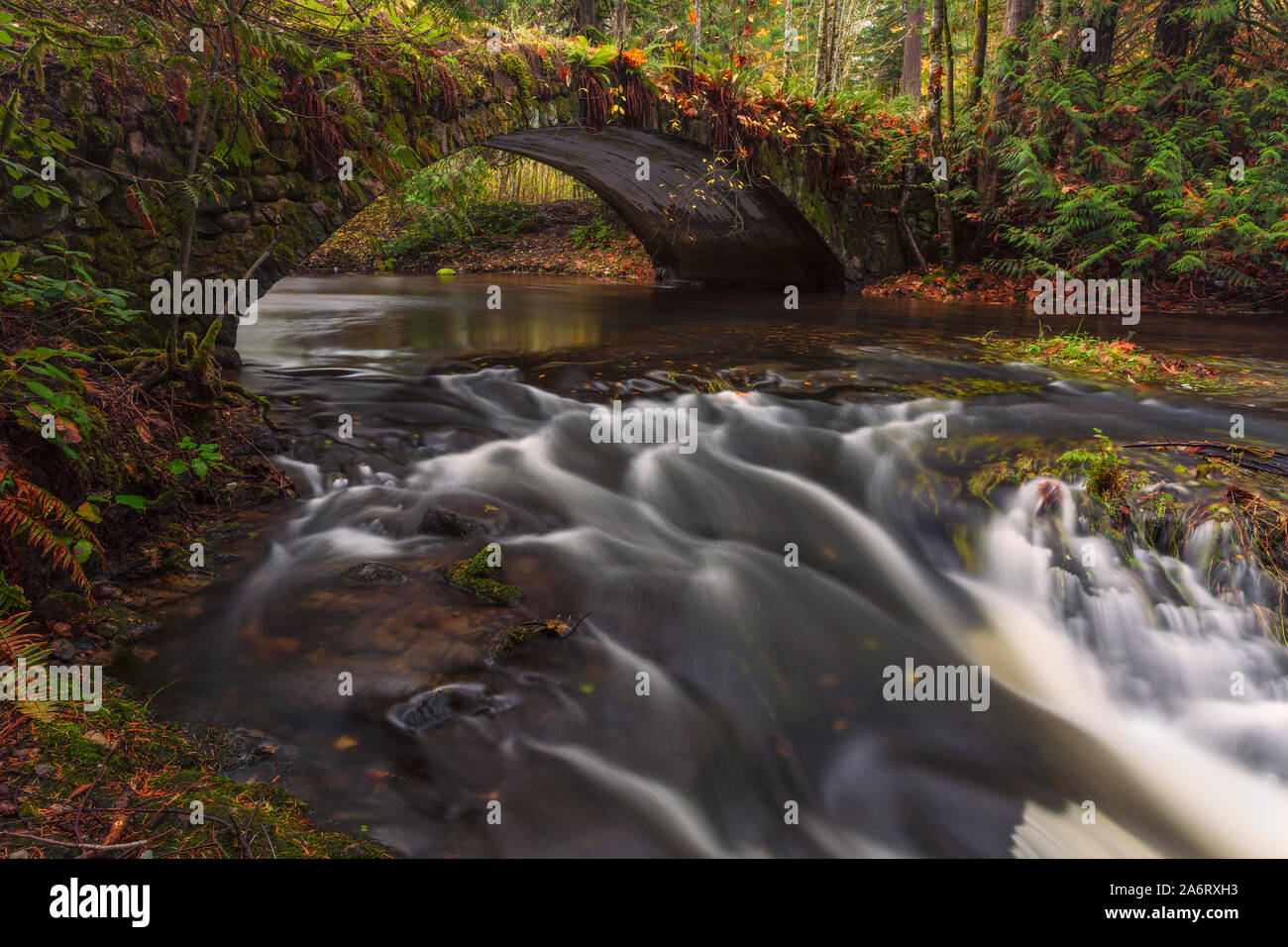 Old Stone Bridge and Shawnigan Creek in autumnMill Bay, British