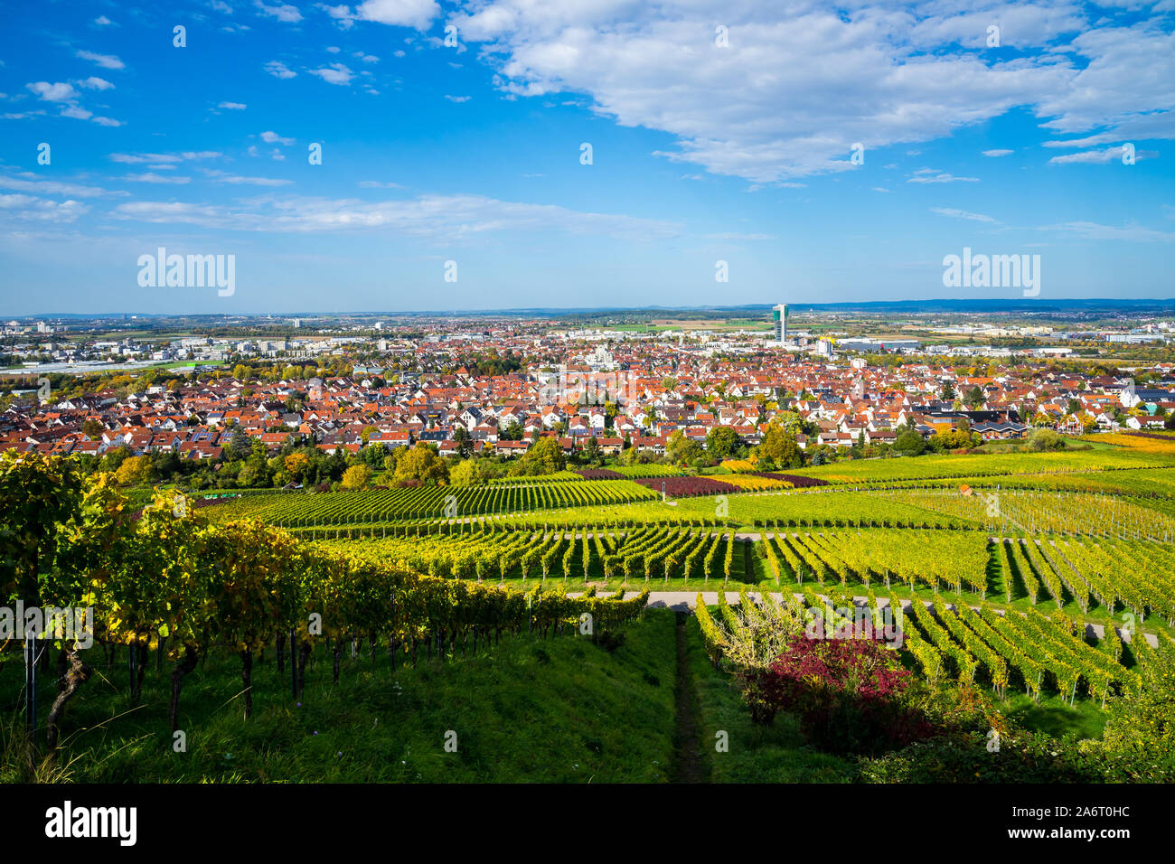 Stuttgart city forest in autumn hi-res stock photography and images - Alamy