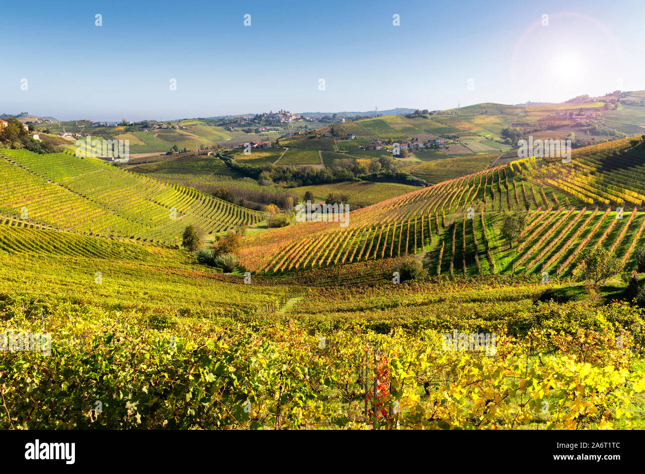 Langhe vineyards of Barbaresco in autumn, Piedmont, Italy. Stock Photo