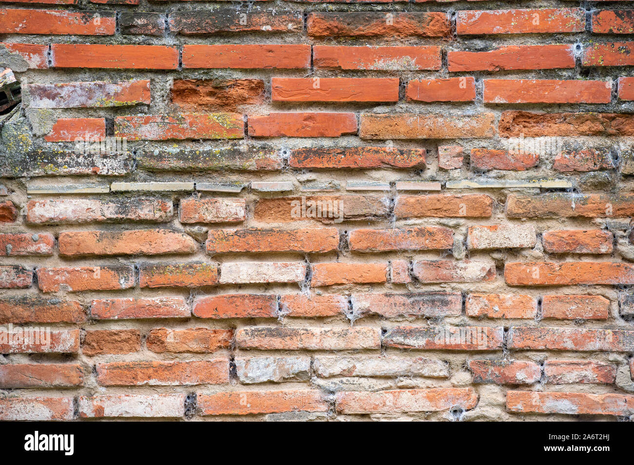 brick wall with spider webs Stock Photo Alamy