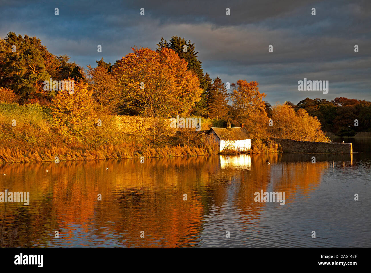 Duddingston Loch, Edinburgh, Scotland, UK weather. 28th October 2019. The Autumnal colours of the decidious trees and white boat house reflected in Duddingston Loch just before sunset. Stock Photo