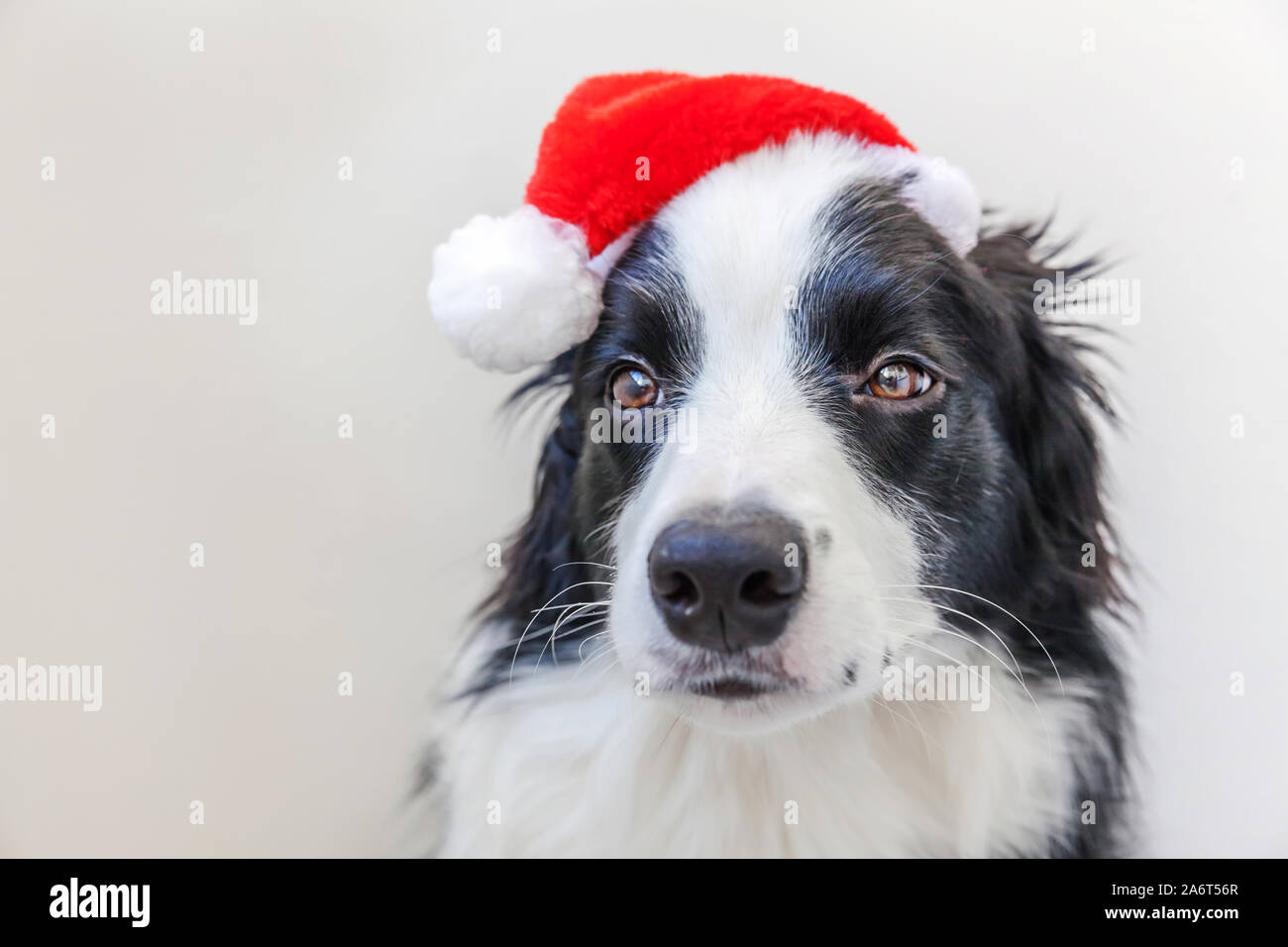 Red 2020 Hat Stock Photos Red 2020 Hat Stock Images Alamy