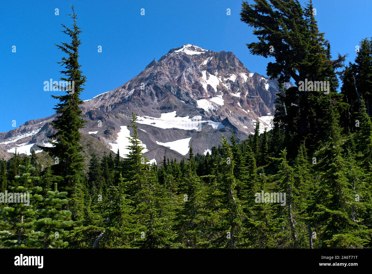 A summer time view of the Northwest side of Mt. Hood from the