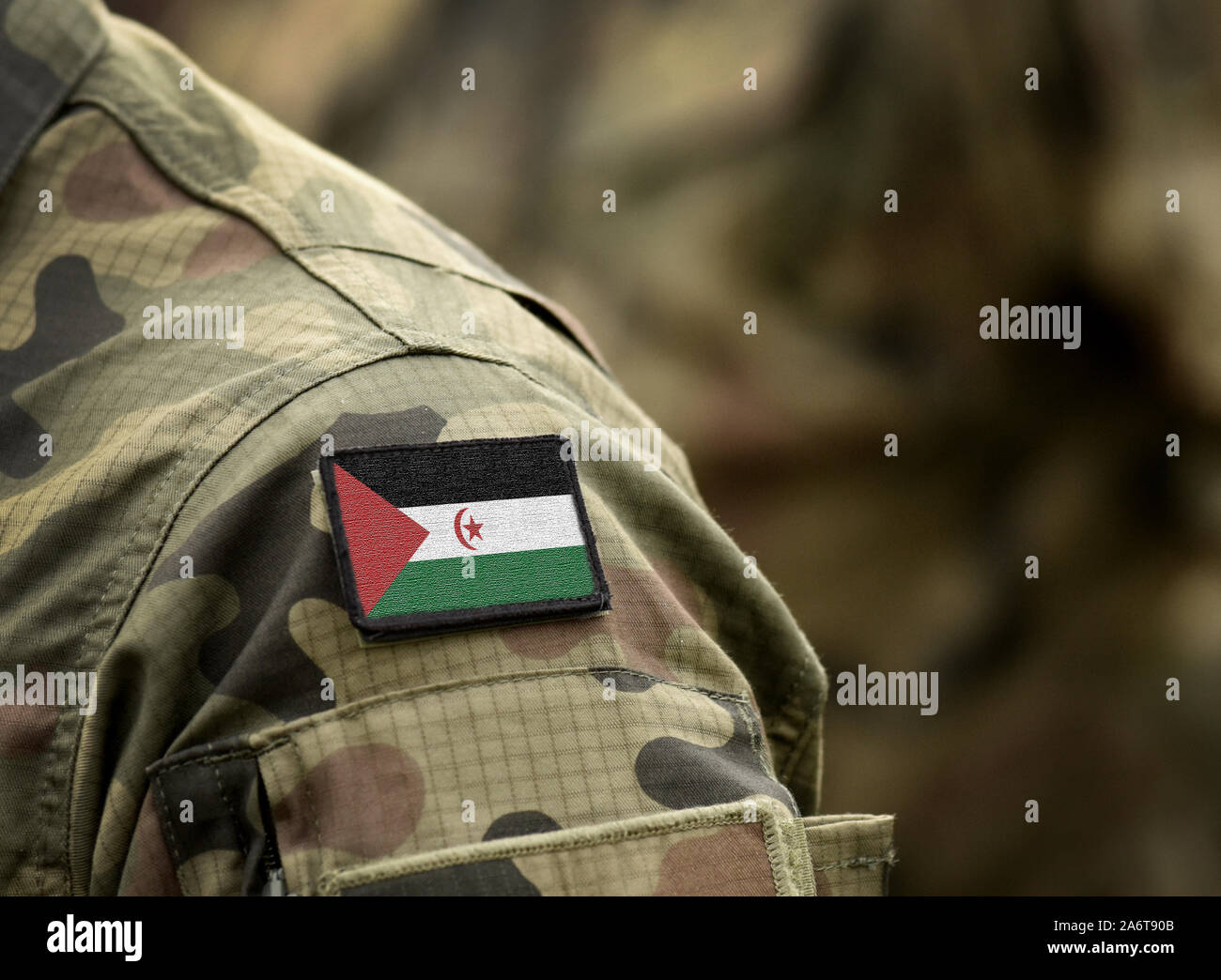 Flag of Sahrawi Arab Democratic Republic on military uniform. Army, troops, soldiers. Collage. Stock Photo