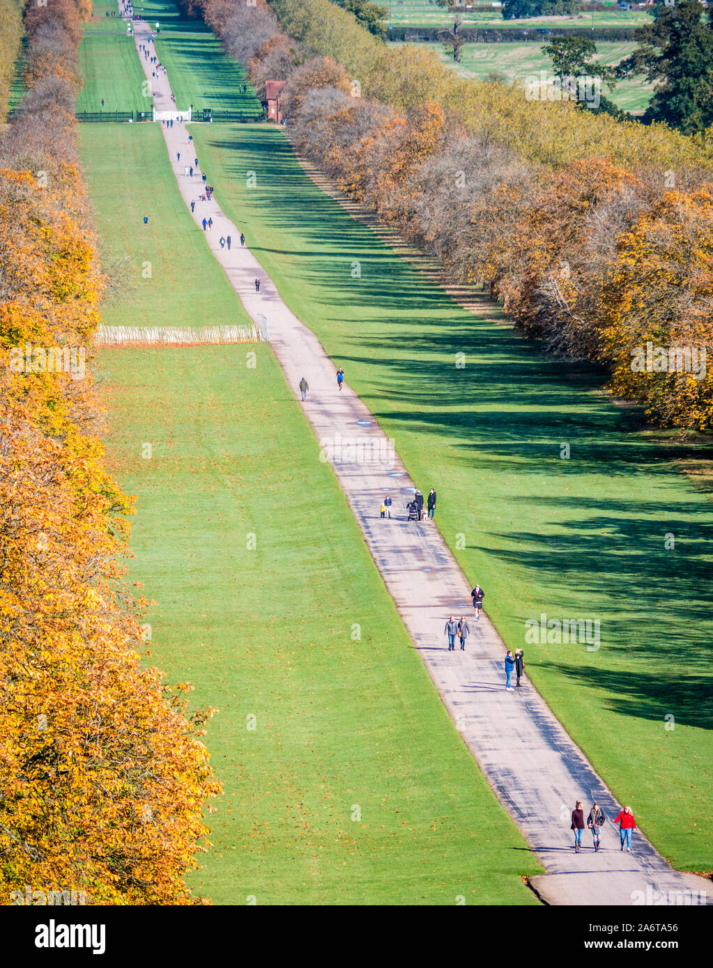 People Walking on the Long Walk, Windsor Great Park, Windsor, Berkshire