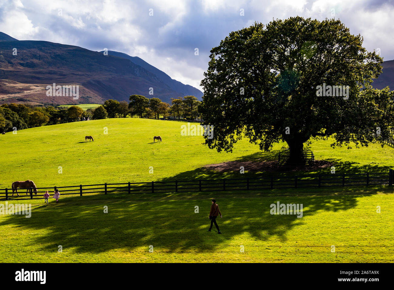 The view to the south from the Upper Lounge of the five-star Dunloe Hotel & Gardens near Killarney, County Kerry, Ireland, is always magnificent. From here, the old oak tree that also appears in the hotel's logo can be seen. Stock Photo