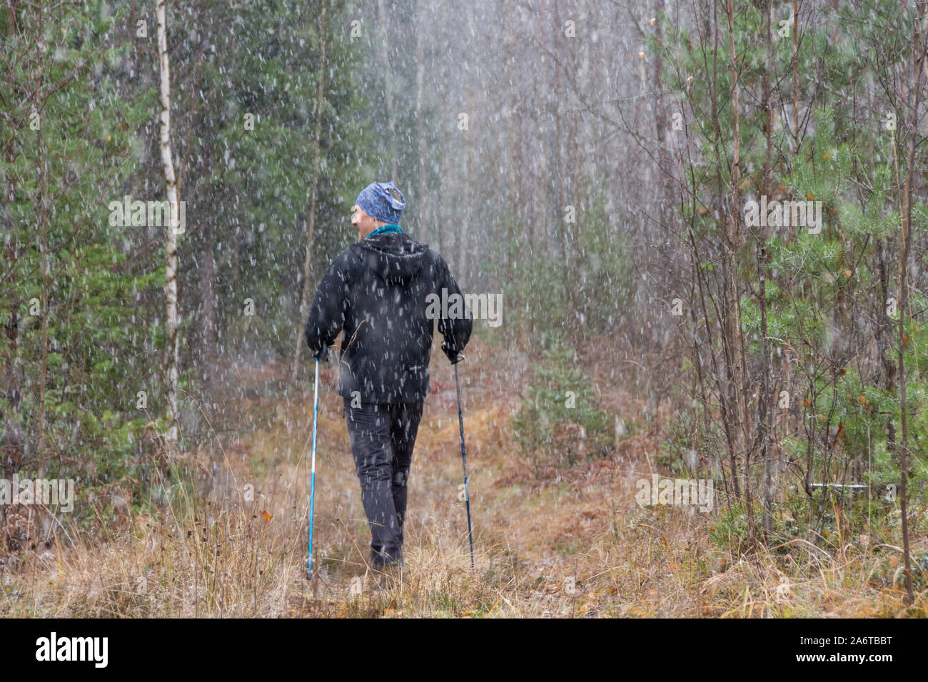 A man on a walk with walking sticks in a snowfall Stock Photo