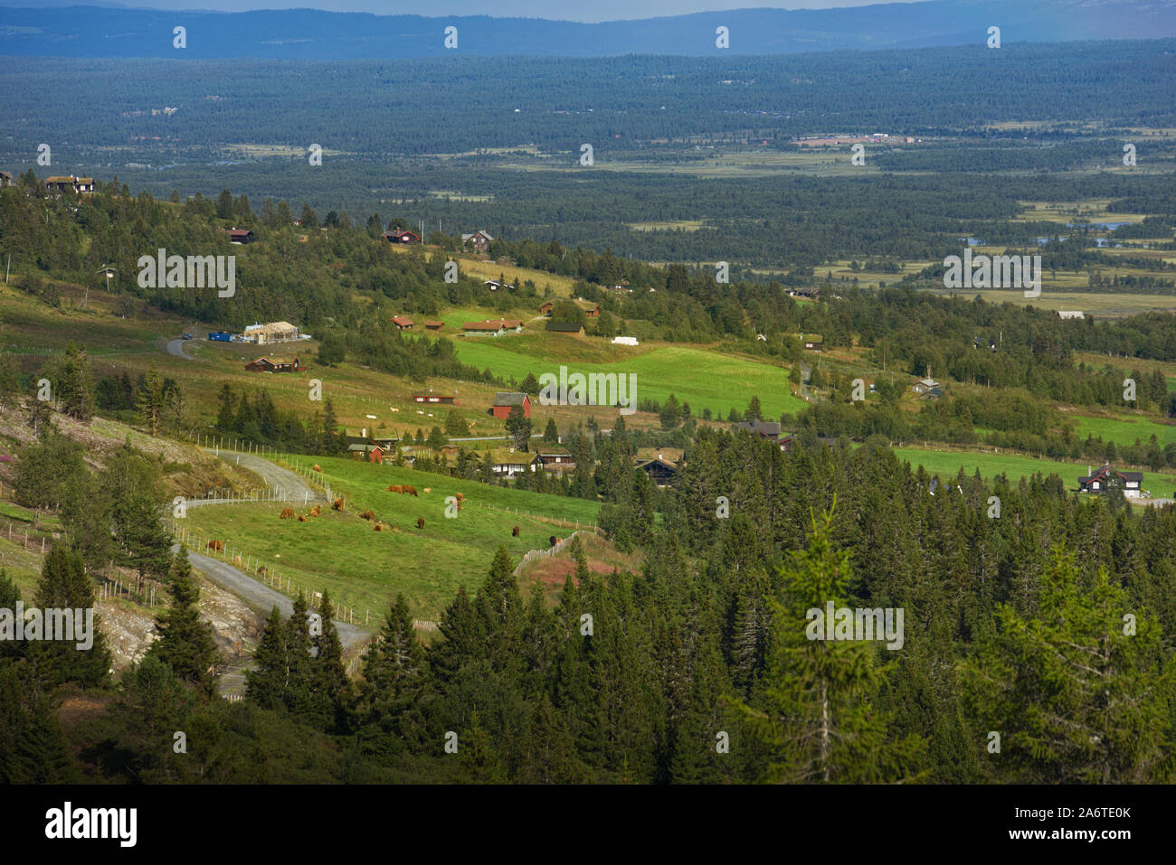 Cultural landscape in the mountains, Gol, Norway Stock Photo