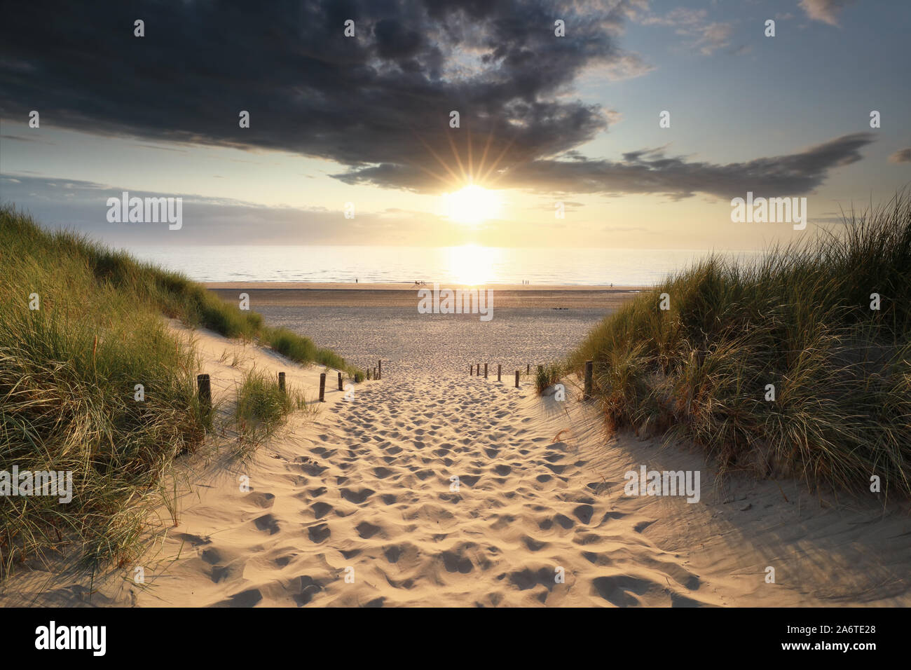 golden sunshine over North sea beach Stock Photo - Alamy