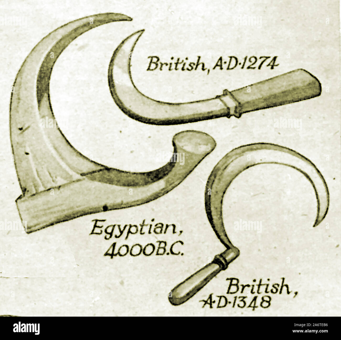 British farming & Horticulture tools through the ages- Sickles Stock Photo