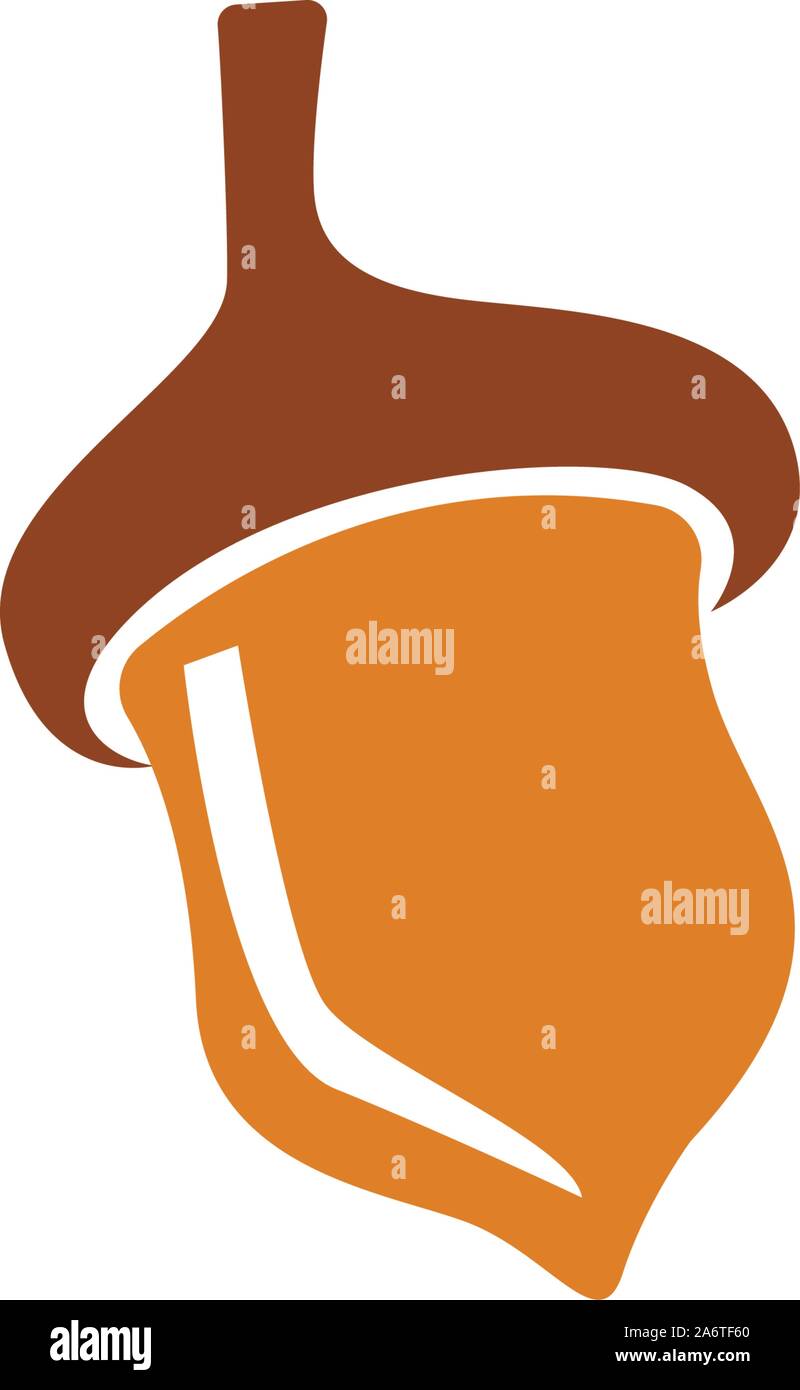 Acorn oak logo ilustration vector Stock Vector Image & Art - Alamy