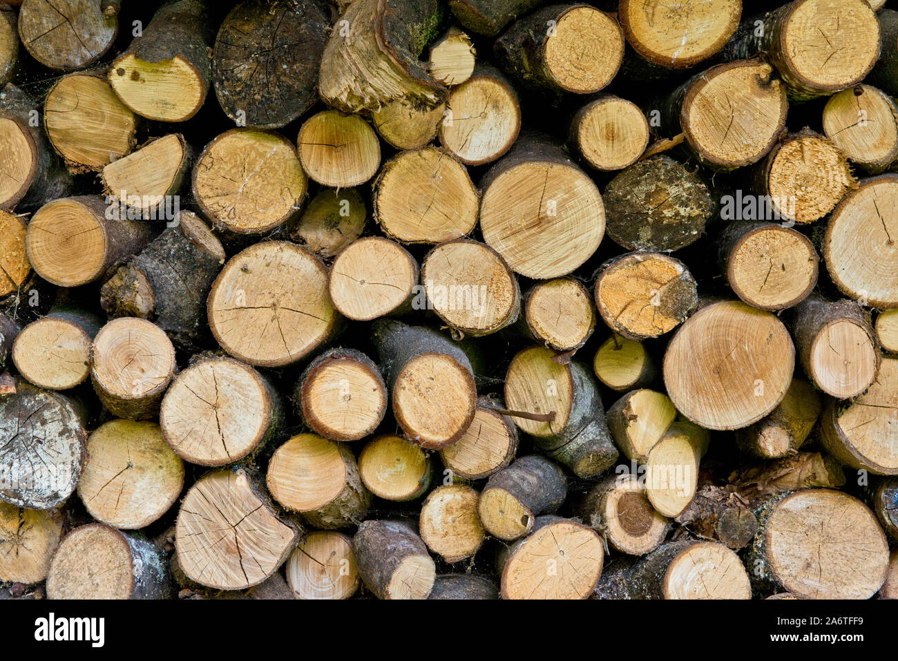 Freshly cut pile of logs for log fuel burners Stock Photo Alamy