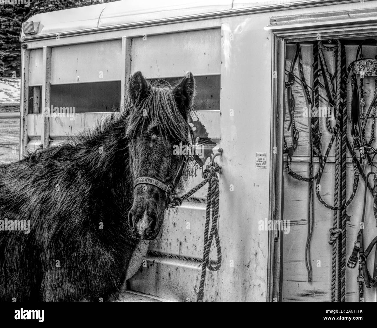 Horse Trails Stock Photos Horse Trails Stock Images Alamy