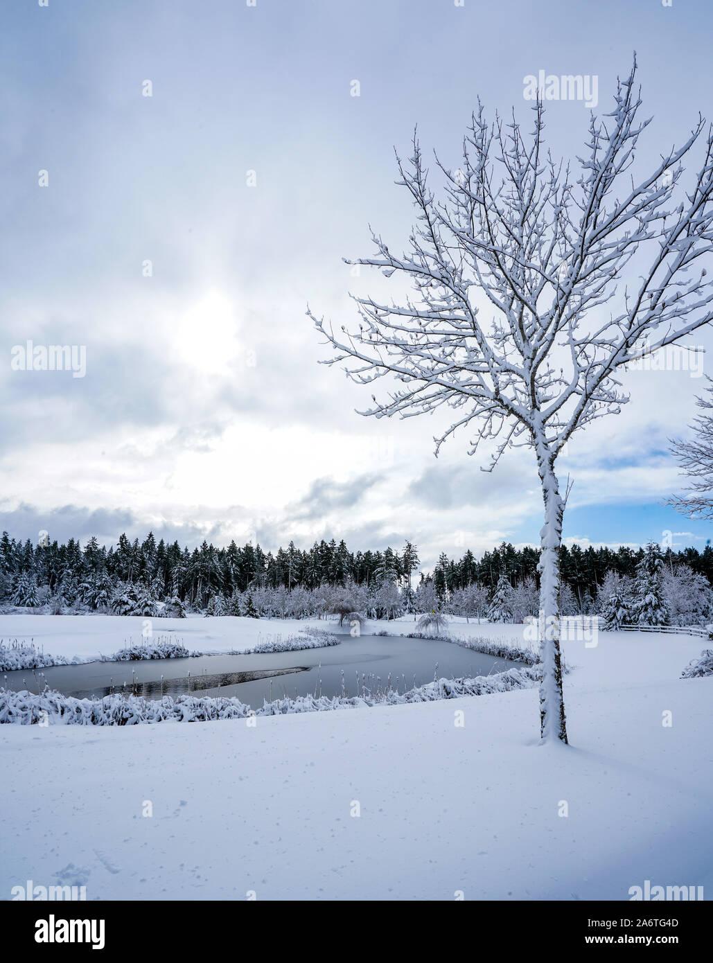 Winter Wonderland in the Pacific Northwest Stock Photo - Alamy