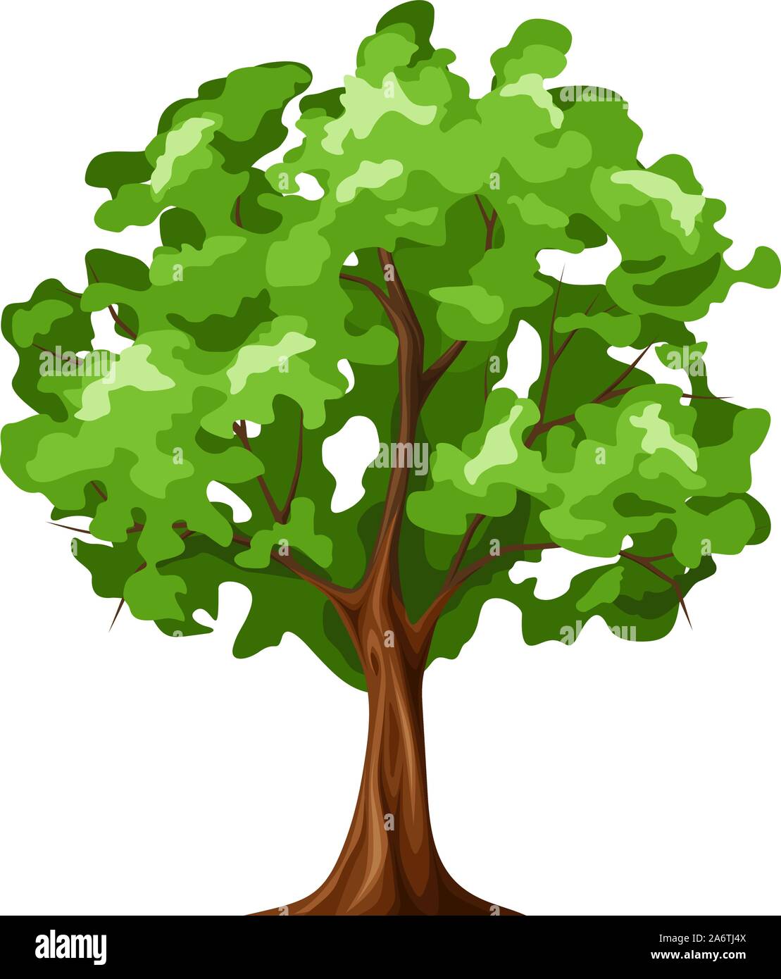 Vector Illustration Of A Green Deciduous Tree Isolated On A White Background Stock Vector Image Art Alamy Vector Illustration Of A Green Deciduous Tree Isolated On A White Background Stock Vector Image Art Alamy