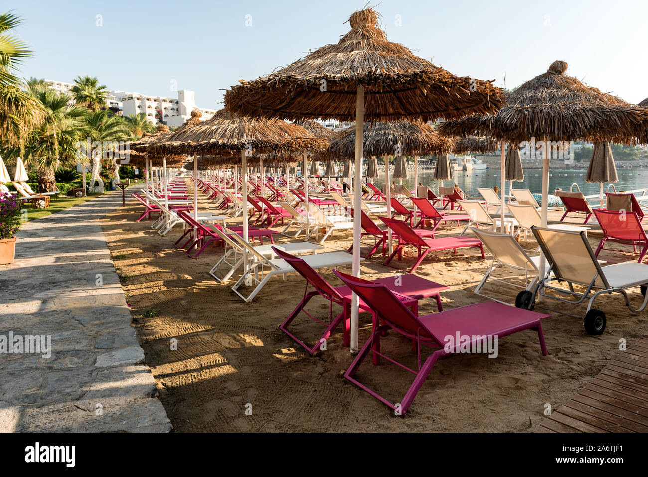 Ready and clean sun beds on a sandy beach at sunrise waiting to be used for sun bathing Stock Photo